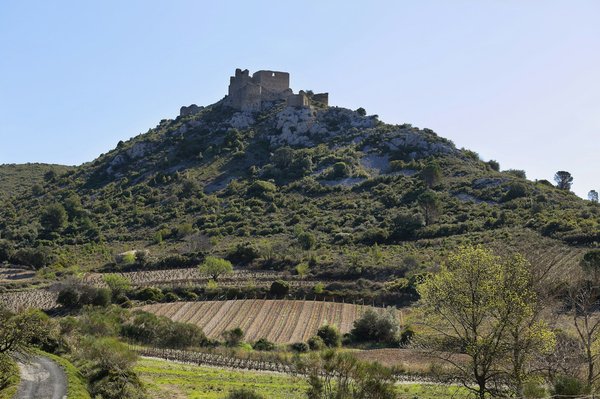 What are the most educational UK cruises for children interested in history?