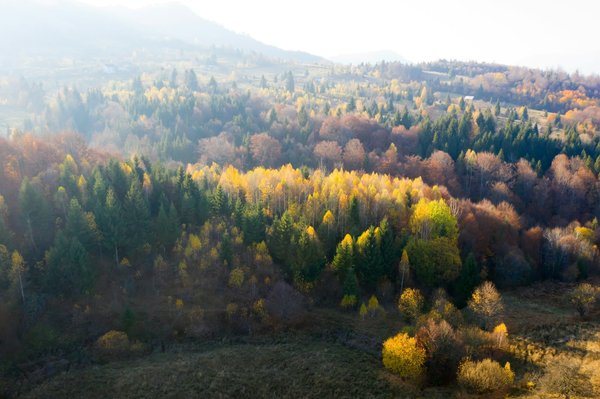 What are the best practices for photographing the autumn foliage in the Cotswolds?