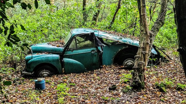 How to participate in a traditional Morris dancing workshop?