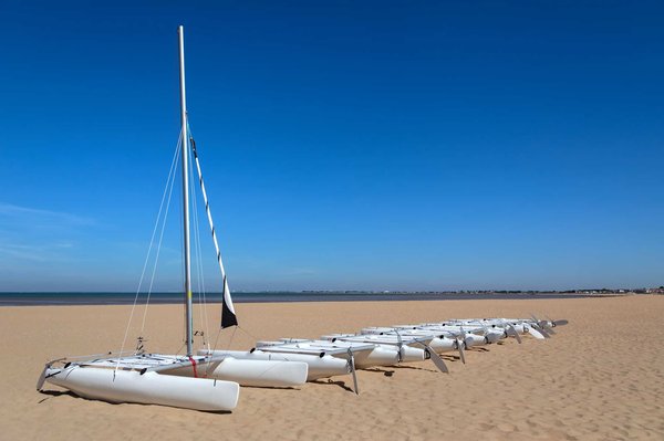 What are the best dog-friendly beaches in Devon?